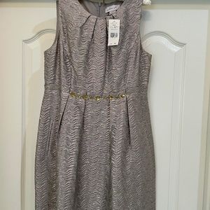 Metallic Silver Dress